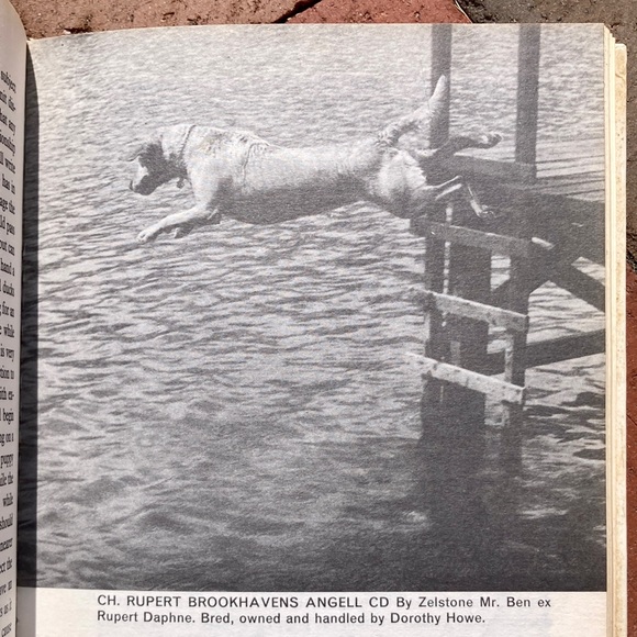 2 Dog Care Female The Labrador Retriever Canine Vintage Black Lab Books Animals - Picture 3 of 14
